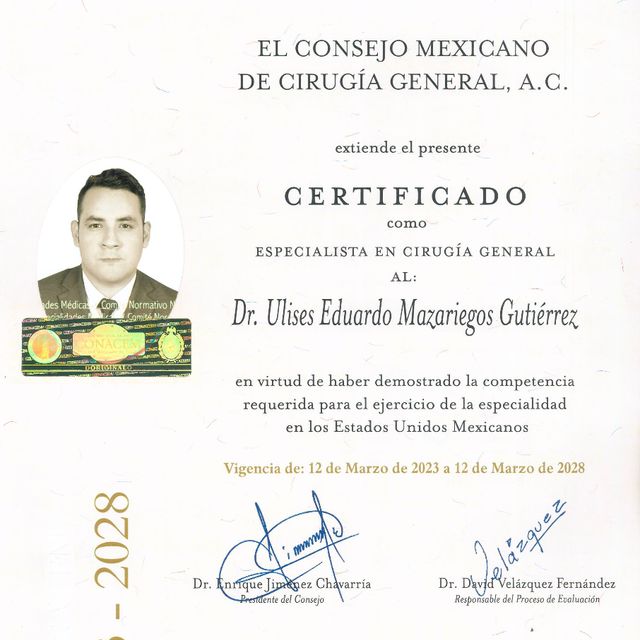 Ampliar imagen: certificate 4