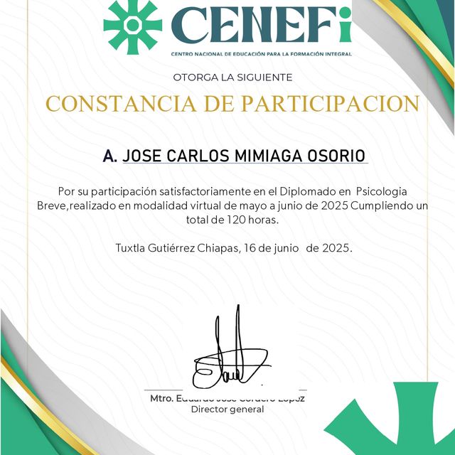 Ampliar imagen: certificate 9