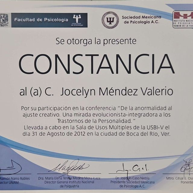 Ampliar imagen: certificate 9