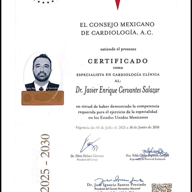 Ampliar imagen: certificate 2
