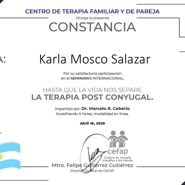 Ampliar imagen: certificate 7