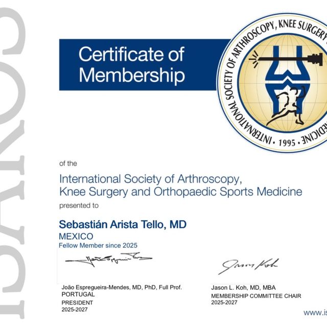 Ampliar imagen: certificate 1