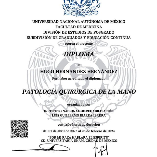 Ampliar imagen: certificate 3