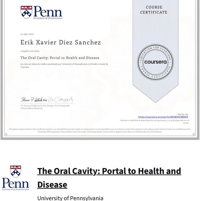 Ampliar imagen: certificate 3