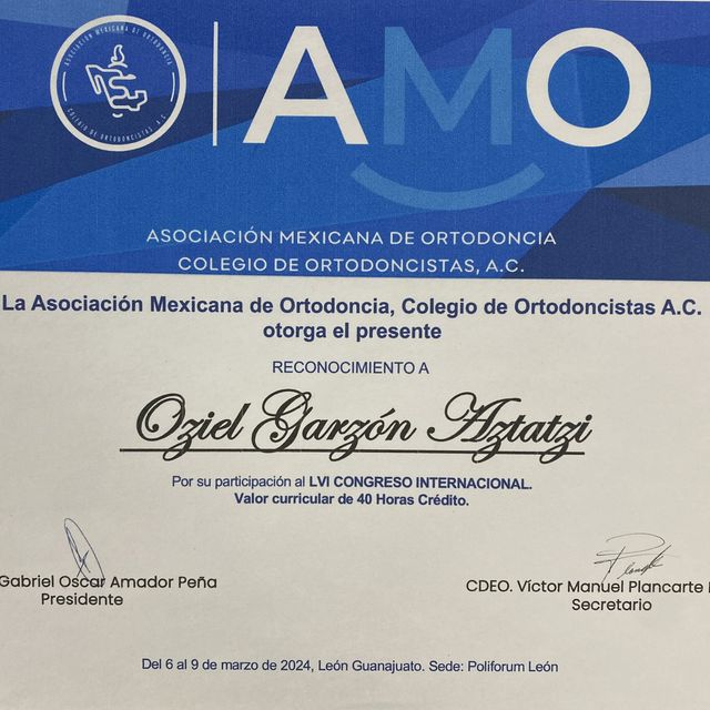 Ampliar imagen: certificate 9