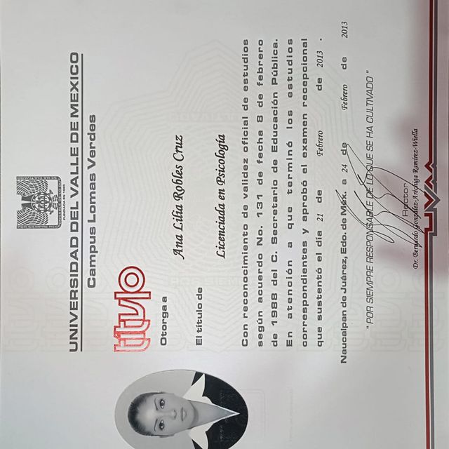 Ampliar imagen: certificate 10