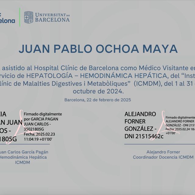 Ampliar imagen: certificate 3