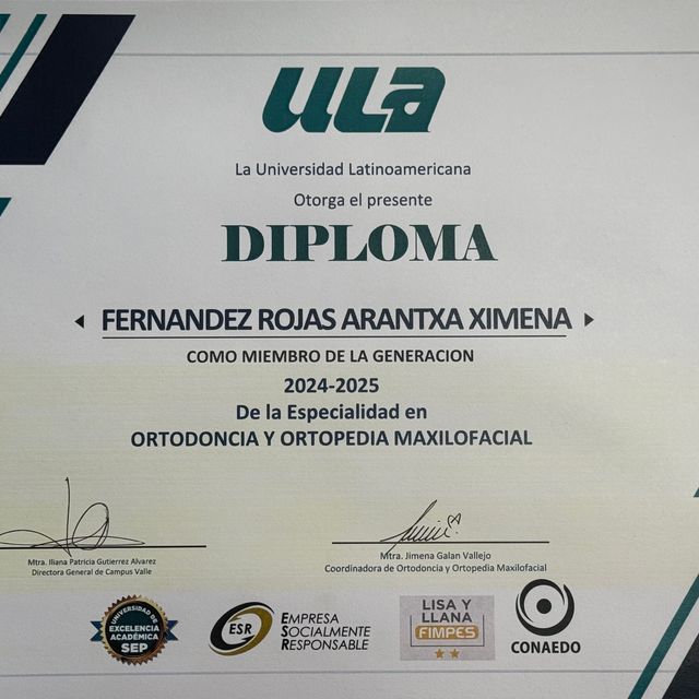 Ampliar imagen: certificate 2