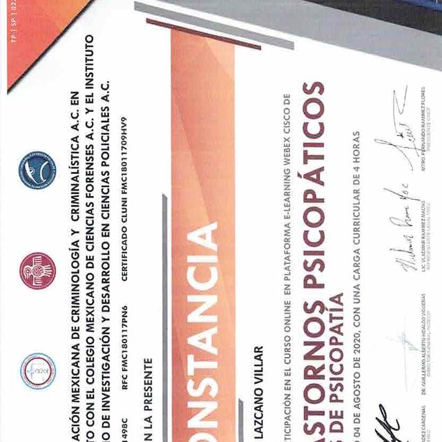 Ampliar imagen: certificate 6