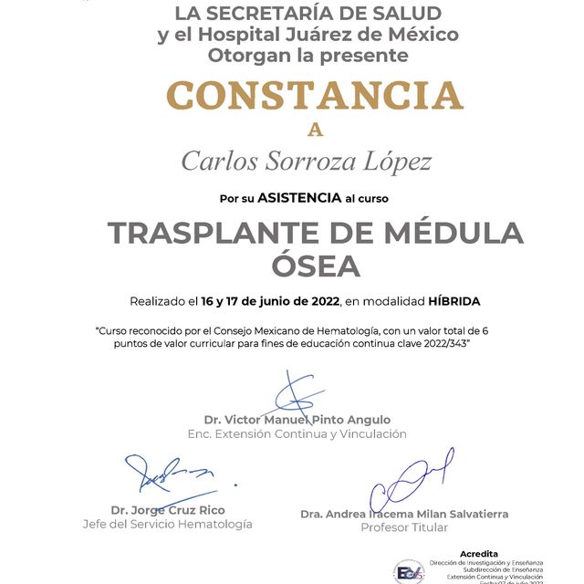 Ampliar imagen: certificate 5