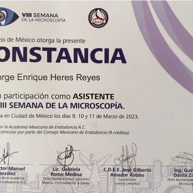 Ampliar imagen: certificate 7