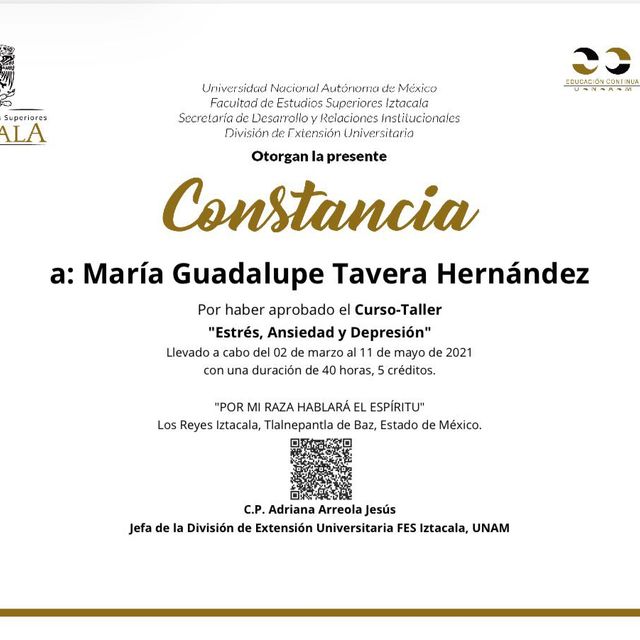 Ampliar imagen: certificate 27