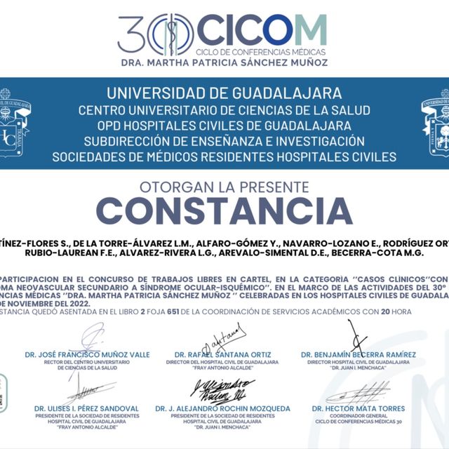Ampliar imagen: certificate 15