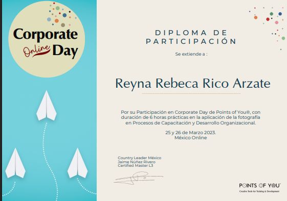 Ampliar imagen: certificate 7