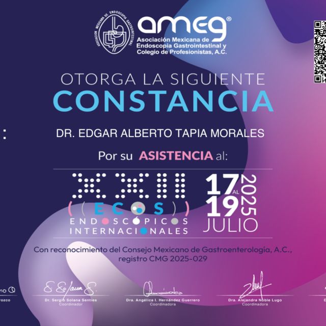 Ampliar imagen: certificate 4