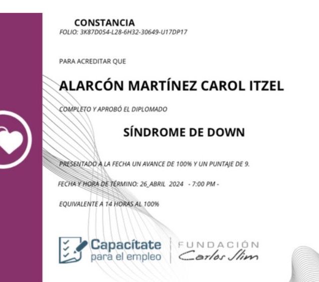 Ampliar imagen: certificate 1
