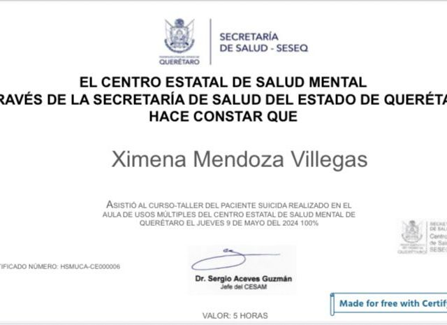 Ampliar imagen: certificate 8