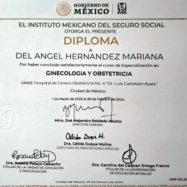 Ampliar imagen: certificate 8