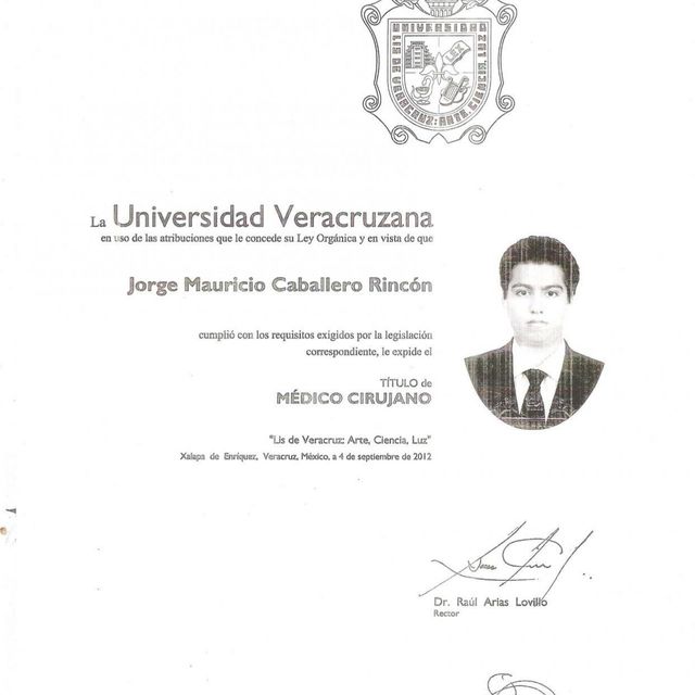 Ampliar imagen: certificate 5