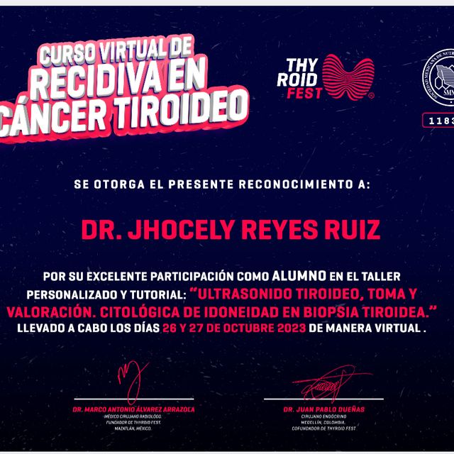 Ampliar imagen: certificate 8