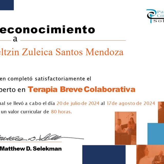 Ampliar imagen: certificate 6