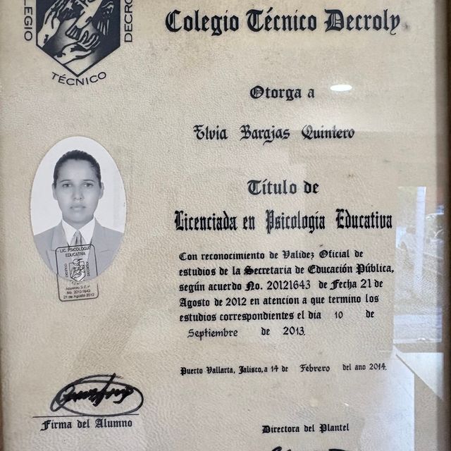 Ampliar imagen: certificate 10