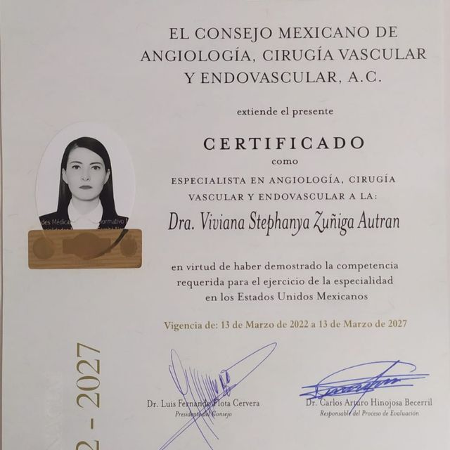 Ampliar imagen: certificate 1