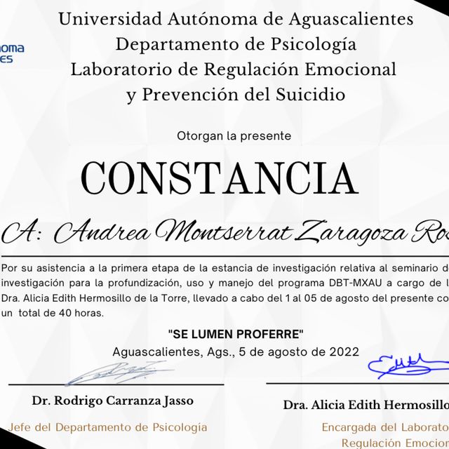 Ampliar imagen: certificate 1