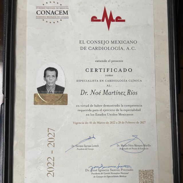 Ampliar imagen: certificate 3