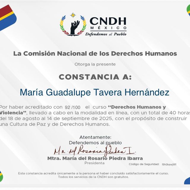 Ampliar imagen: certificate 7