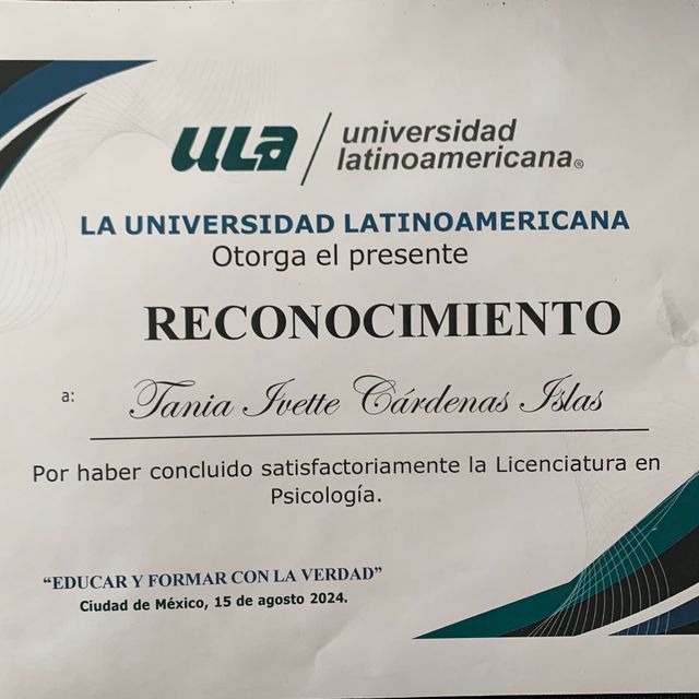 Ampliar imagen: certificate 3