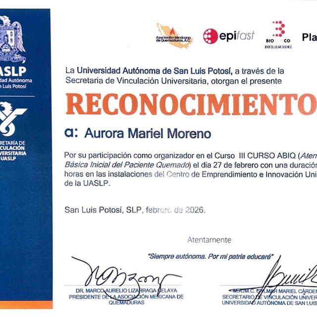 Ampliar imagen: certificate 5
