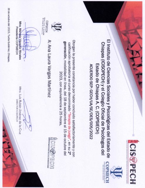 Ampliar imagen: certificate 1