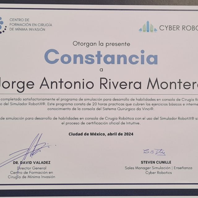 Ampliar imagen: certificate 10