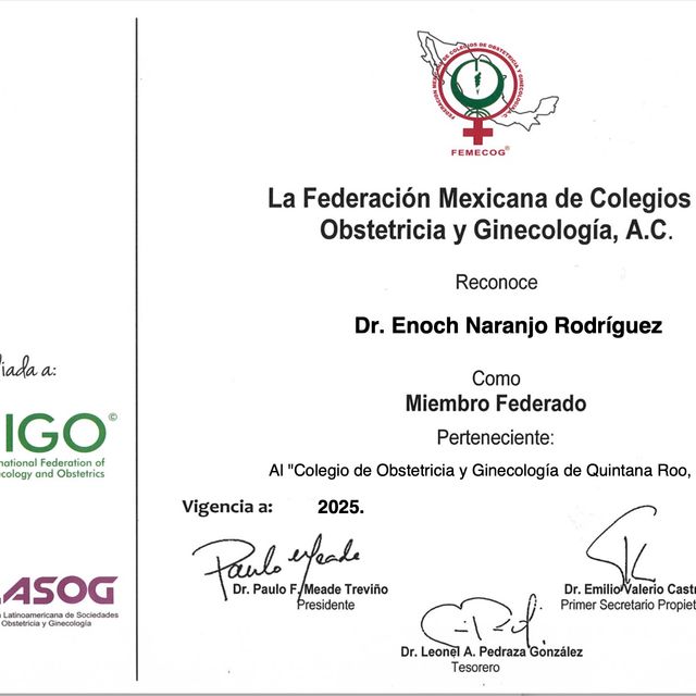 Ampliar imagen: certificate 3