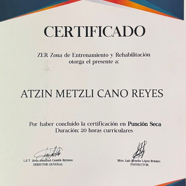 Ampliar imagen: certificate 6