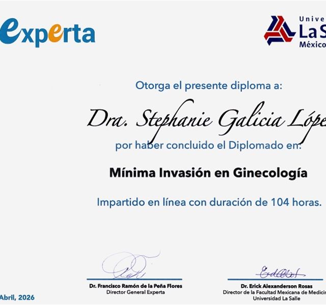 Ampliar imagen: certificate 4
