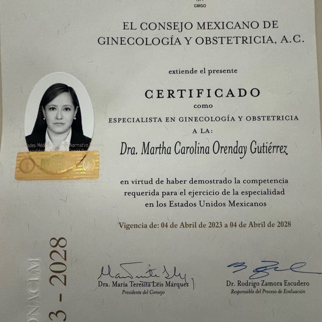 Ampliar imagen: certificate 1