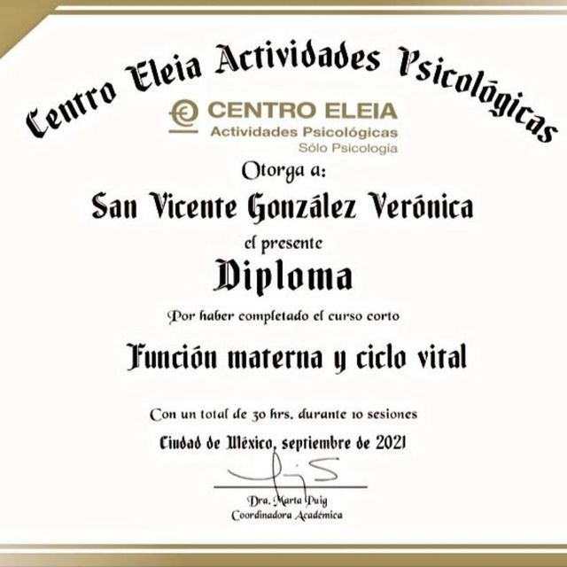 Ampliar imagen: certificate 1