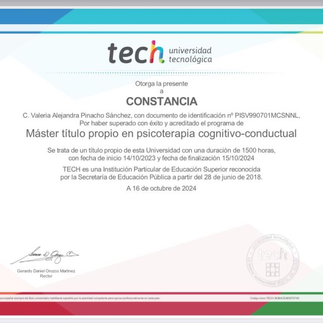 Ampliar imagen: certificate 1