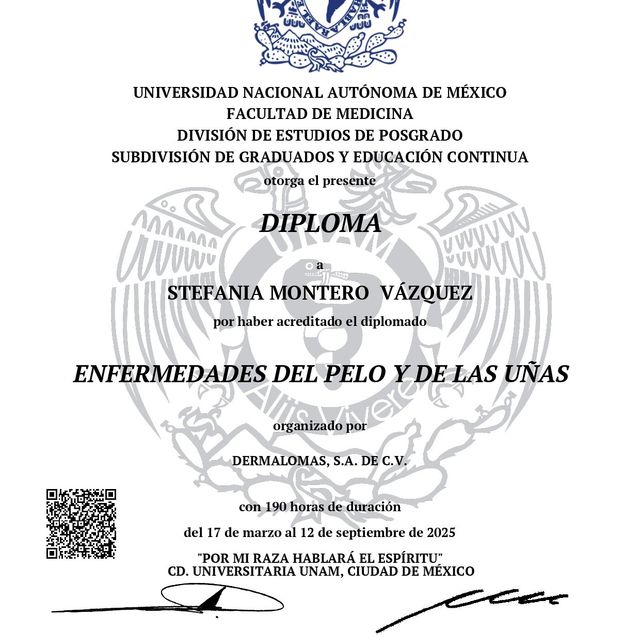 Ampliar imagen: certificate 4