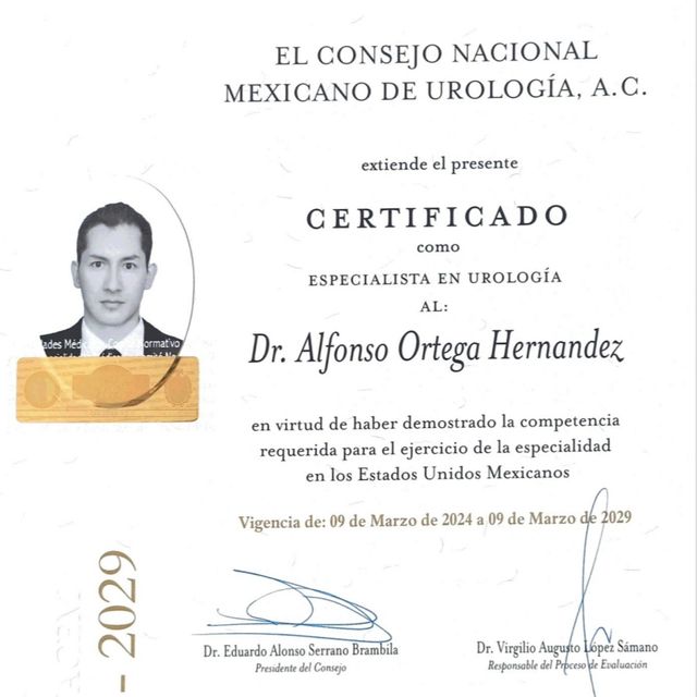 Ampliar imagen: certificate 1