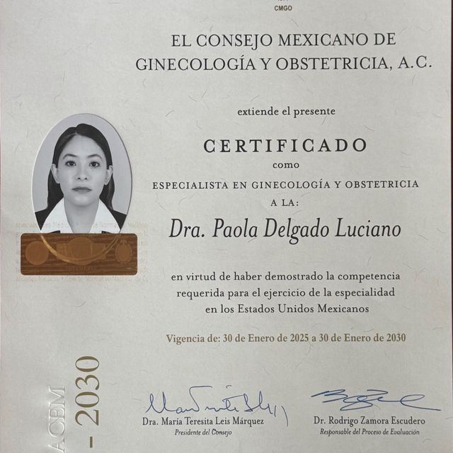 Ampliar imagen: certificate 2