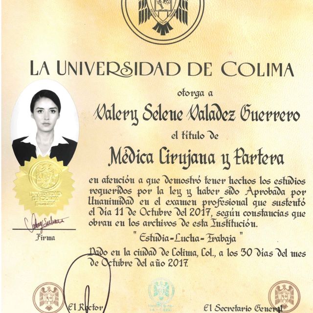 Ampliar imagen: certificate 3