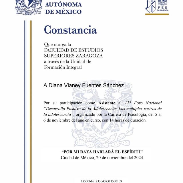 Ampliar imagen: certificate 3