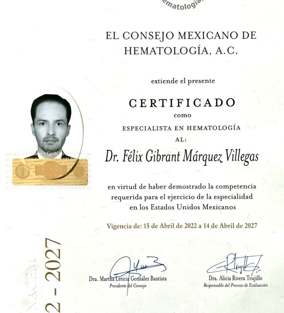 Ampliar imagen: certificate 4