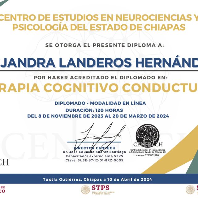 Ampliar imagen: certificate 3