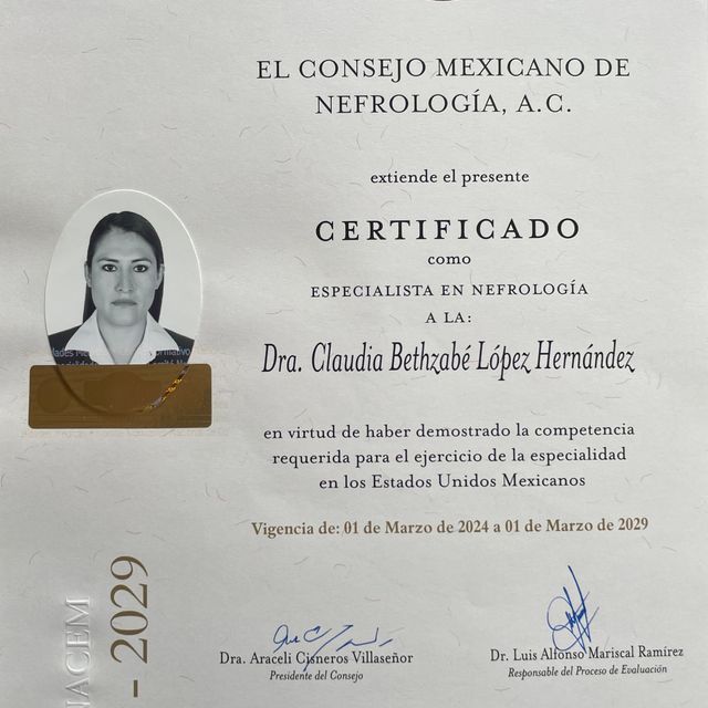 Ampliar imagen: certificate 1