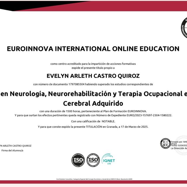 Ampliar imagen: certificate 3