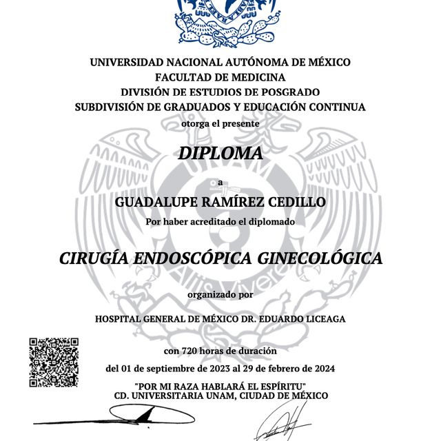 Ampliar imagen: certificate 3
